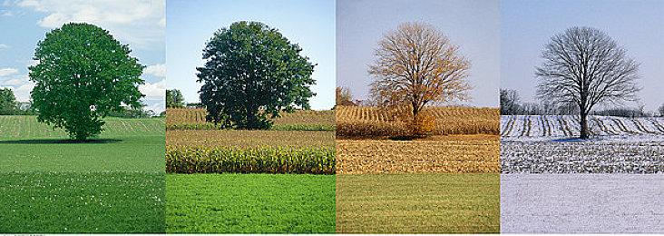 《百合太刀降魔传》登陆Steam 横版动作射击